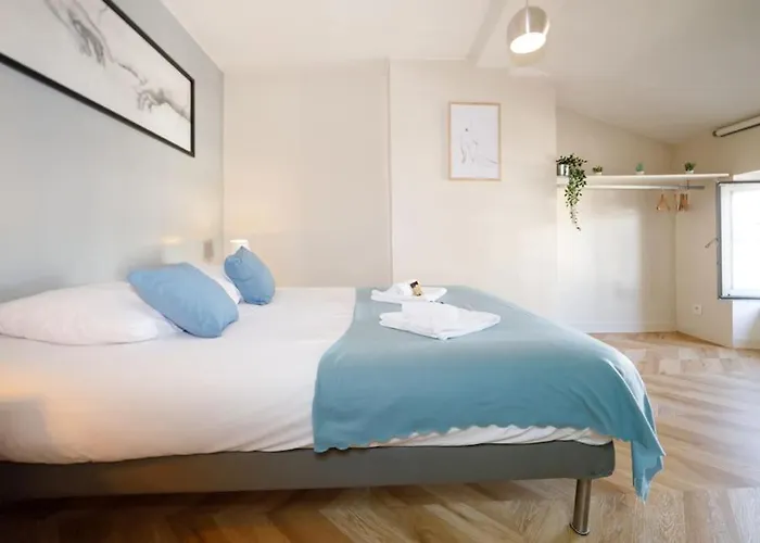 T2 Cozy Proche Du Centre Avec Canapé Lit - 51blatin Clermont-Ferrand