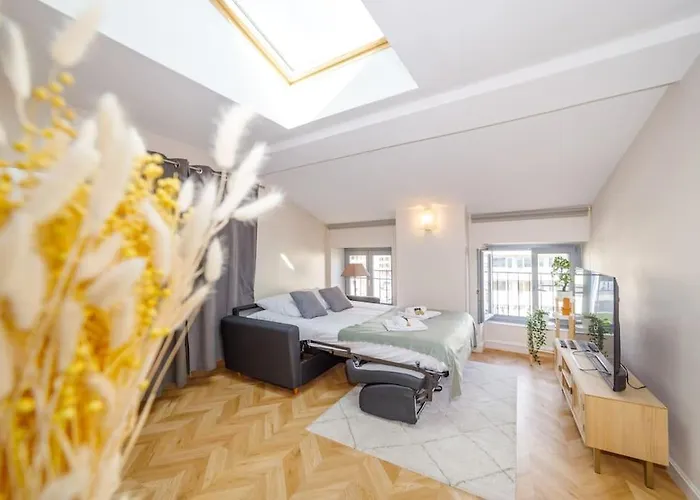 T2 Cozy Proche Du Centre Avec Canapé Lit - 51blatin Appartement Clermont-Ferrand