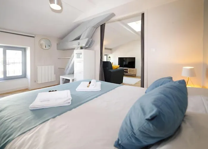 T2 Cozy Proche Du Centre Avec Canapé Lit - 51blatin Appartement *